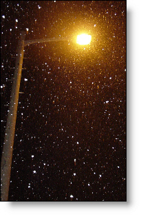 경칩 전야 폭설을 찍다.