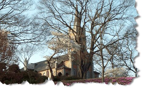 공세리 성당을 가다