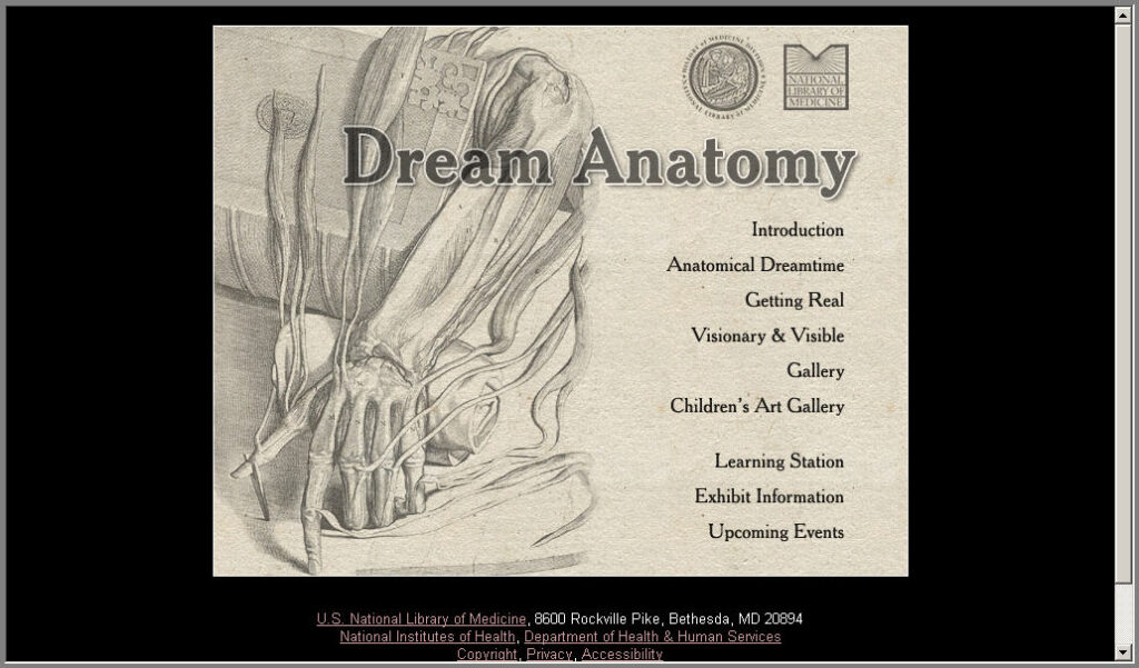 Dream Anatomy : 16세기부터 현재까지 해부학 관련 이미지