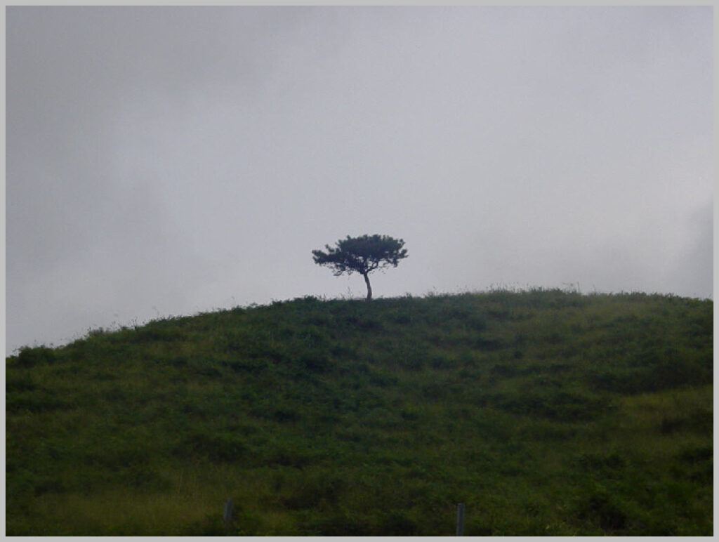 개심사 다녀오다.