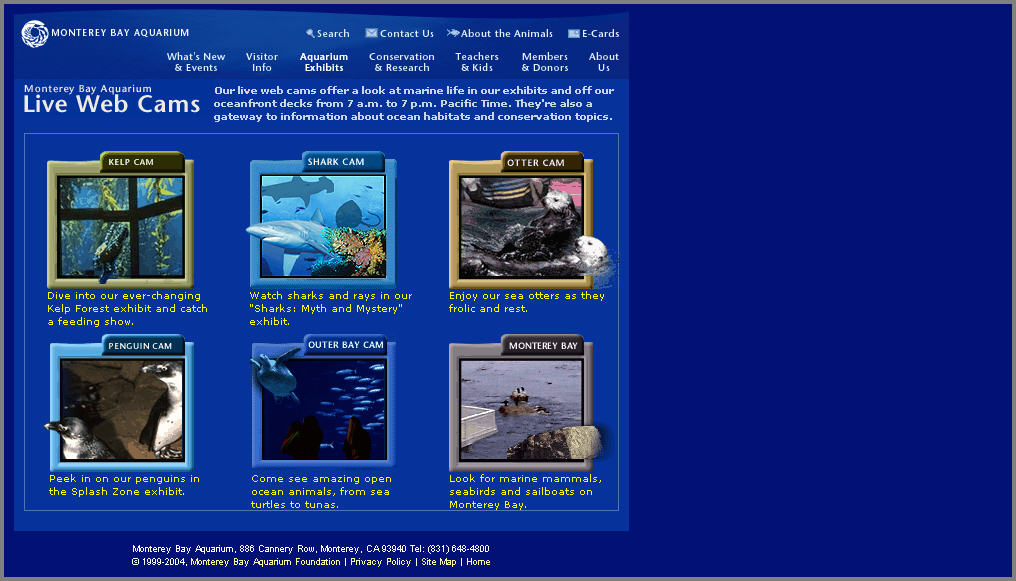 Monterey Bay Aquarium: Live Web Cams