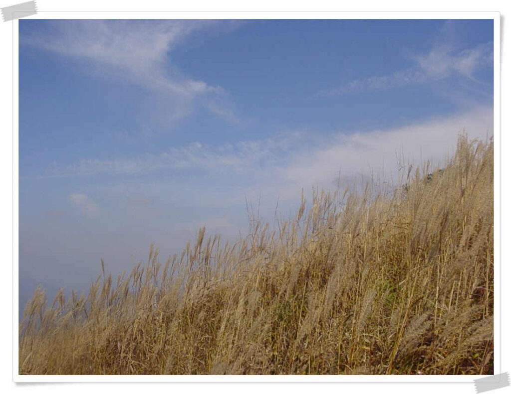 민둥산에 다녀오다