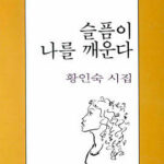 시집. 슬픔이 나를 깨운다. 황인숙