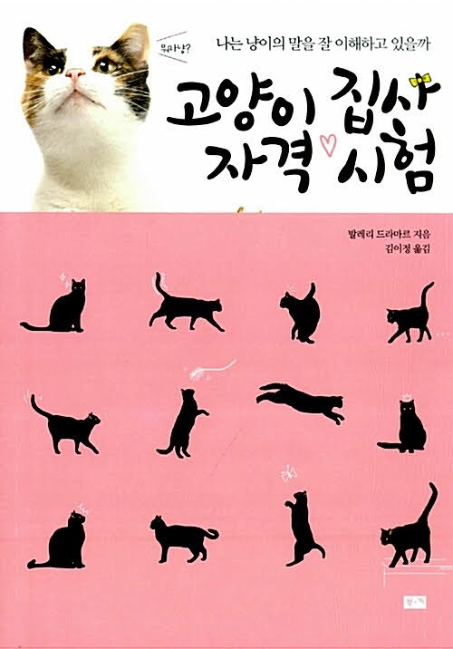 고양이 집사 자격 시험 고양이 집사 자격 시험