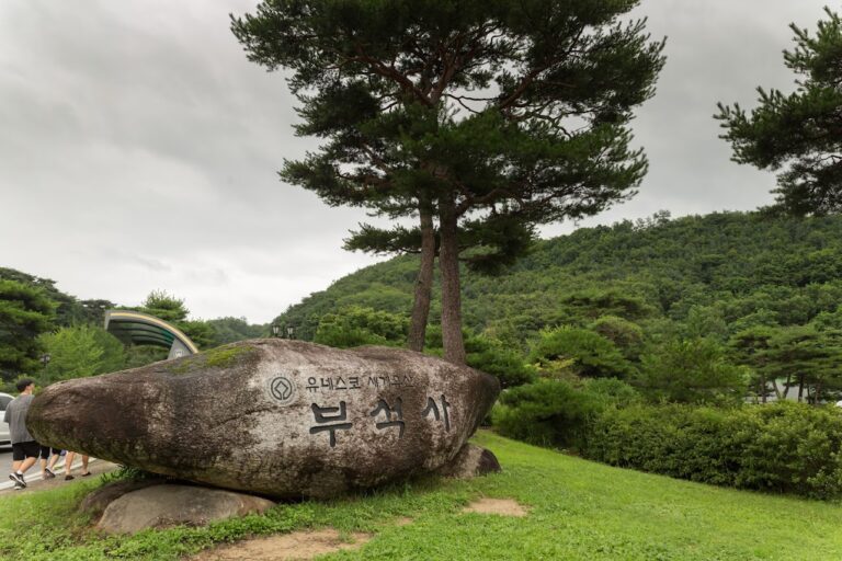 영주 여행