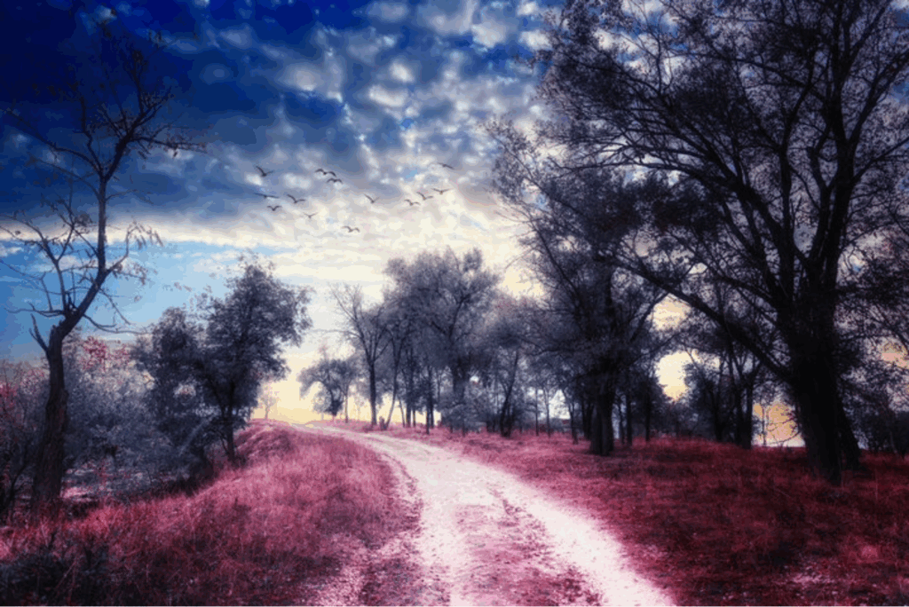 불취불귀<不醉不歸>: firefly 불취불귀<不醉不歸>: firefly