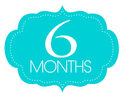 네번째 정기 검사 결과는 좋았습니다 네번째 정기 검사 결과는 좋았습니다