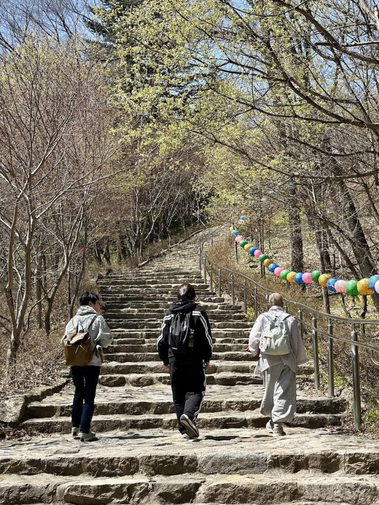 능윤스님께 능윤스님께