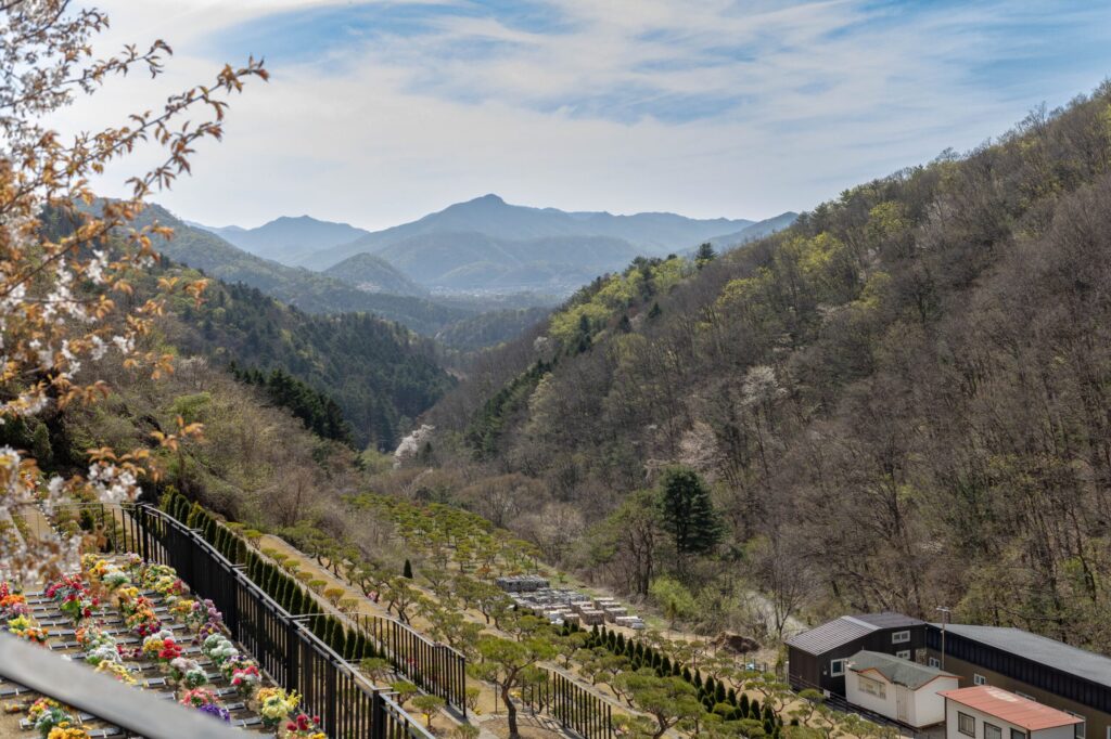 별 구역