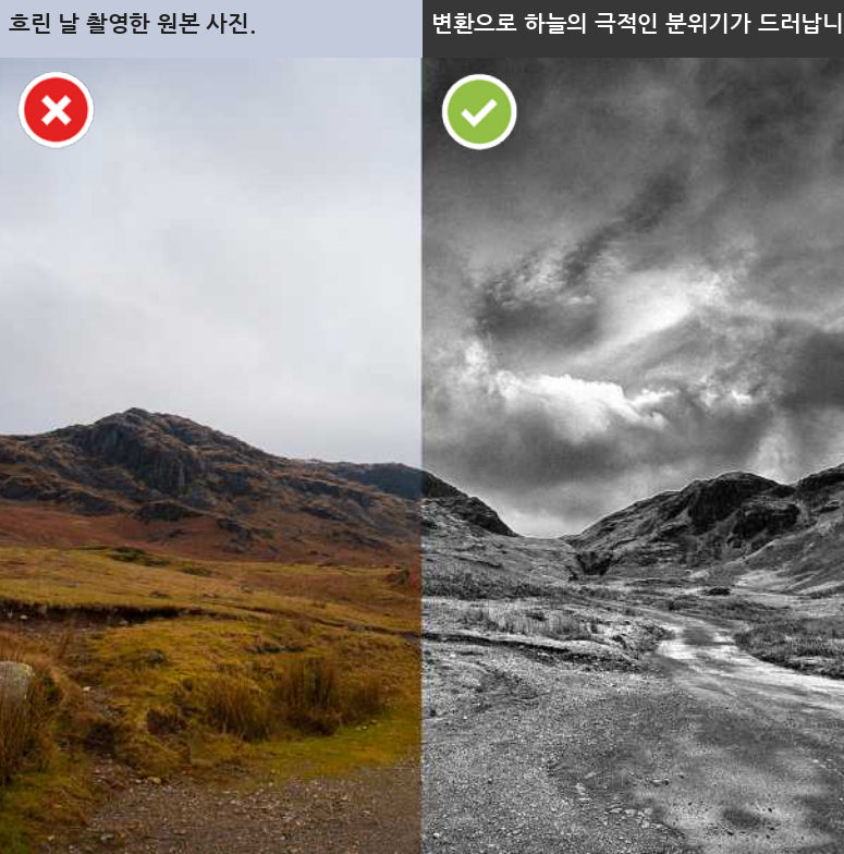 흑백 사진 핵심 팁 #2
