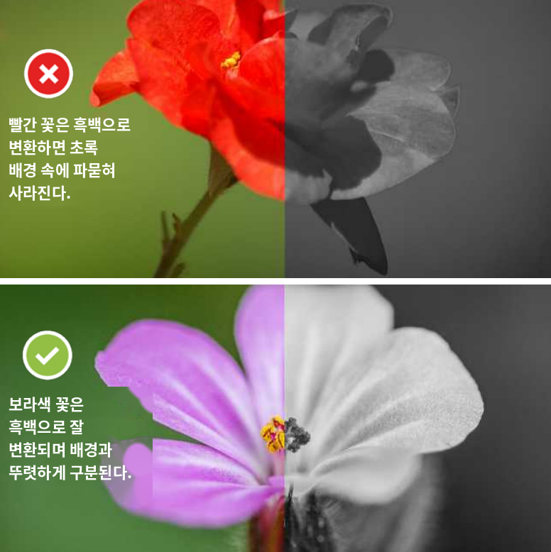 흑백 사진 핵심 팁 #4